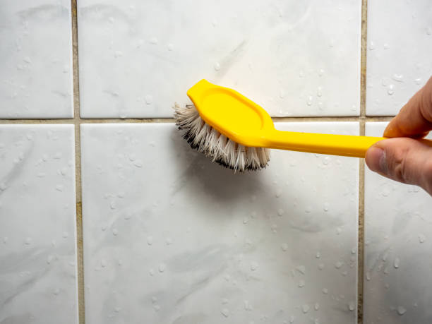 Best Attic Mold Removal  in Hackleburg, AL