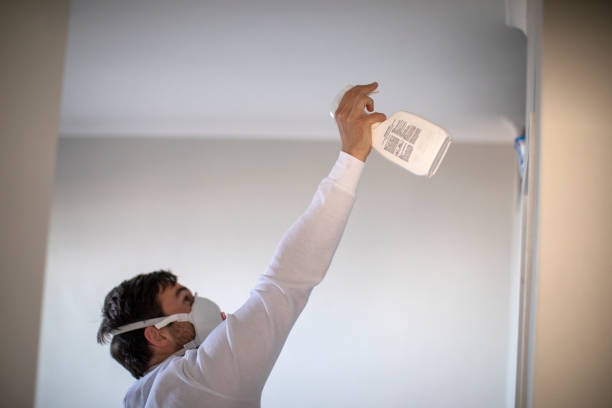 Best Fast Mold Removal  in Hackleburg, AL