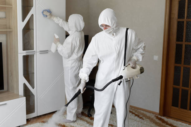Mold Removal Process in Hackleburg, AL